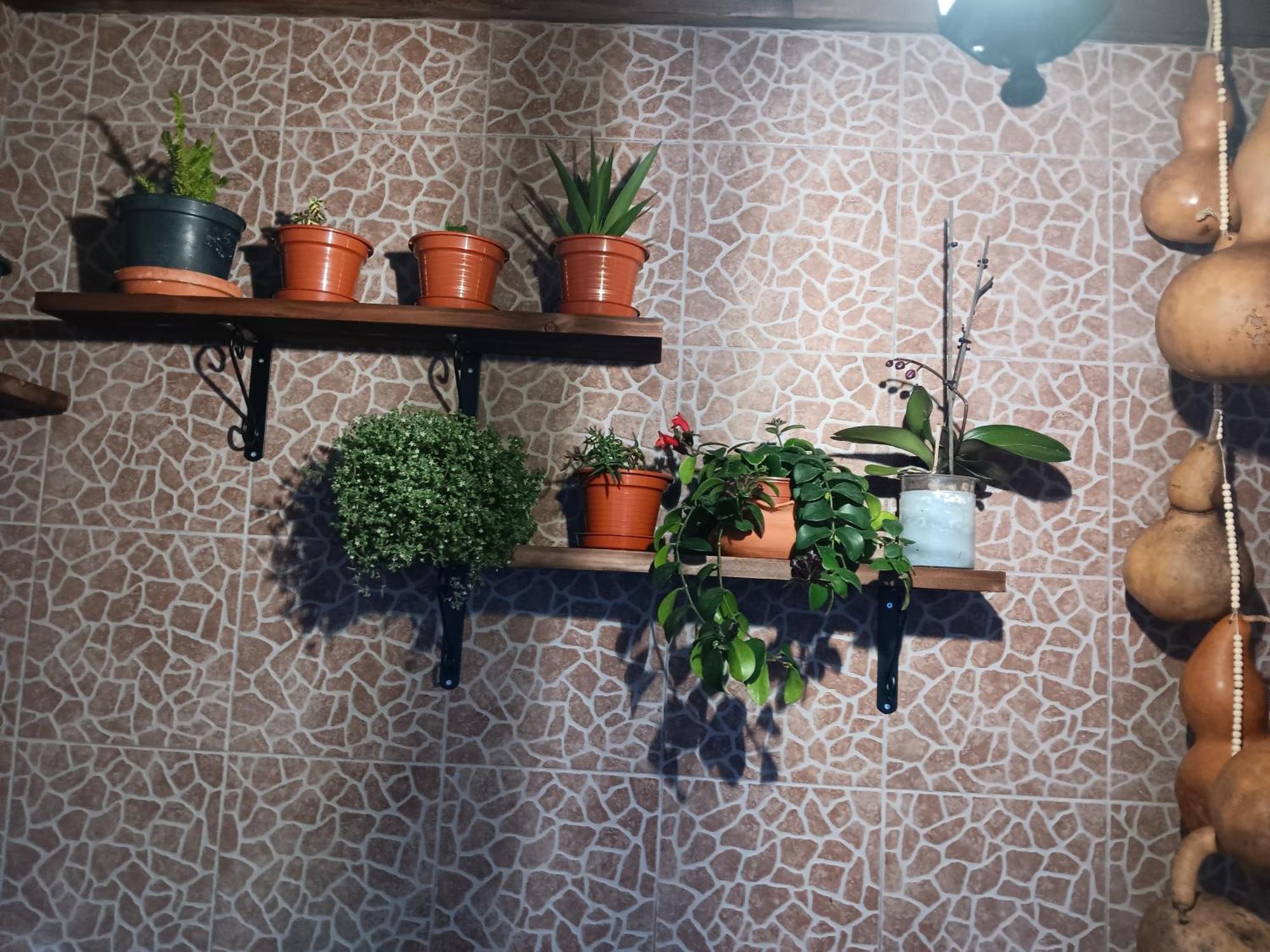 Casa Da Rosarinha Villa Agua de Alto Ngoại thất bức ảnh
