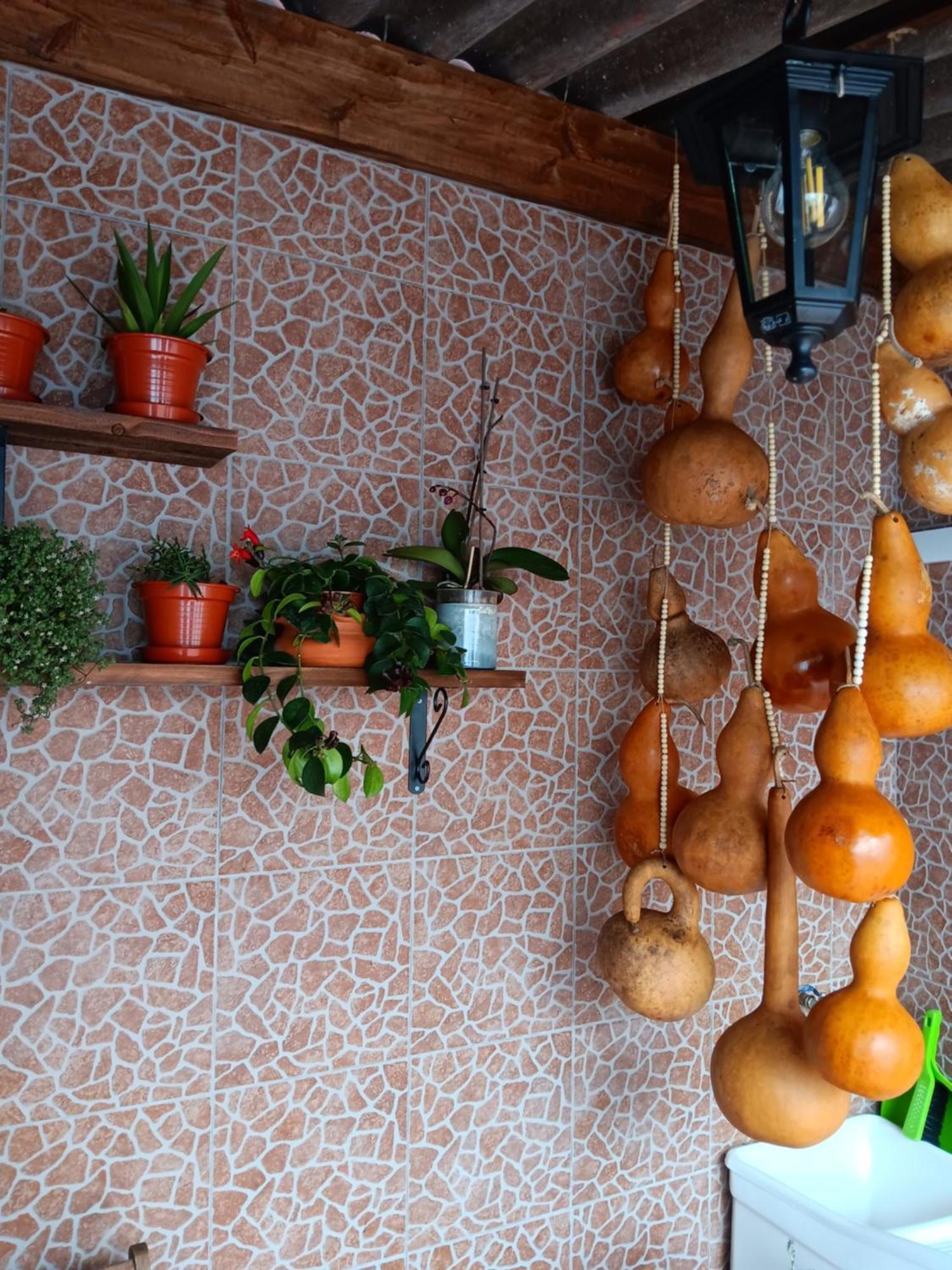 Casa Da Rosarinha Villa Agua de Alto Ngoại thất bức ảnh
